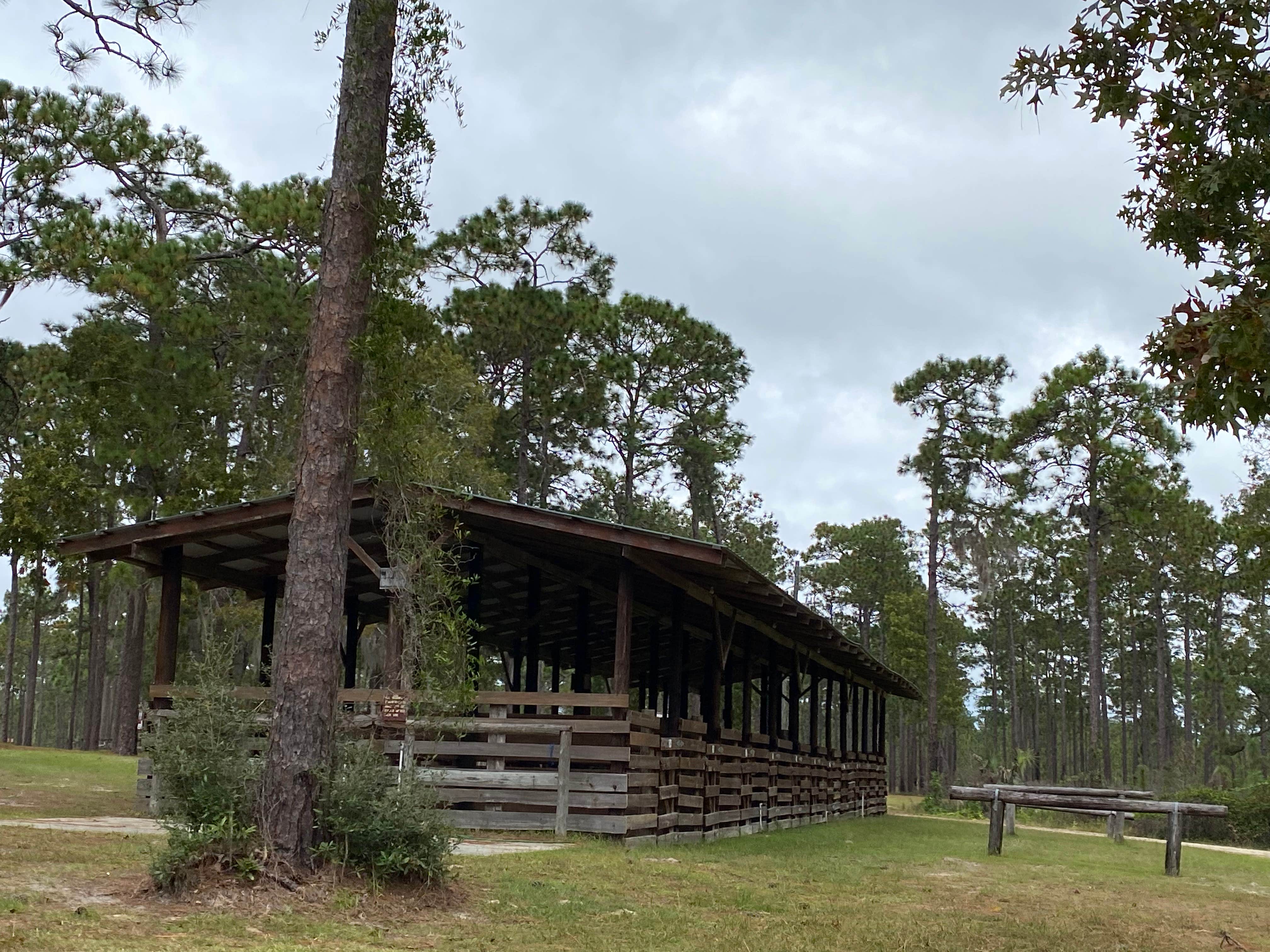Camper-submitted photo at Welaka State Forest near Bunnell, FL