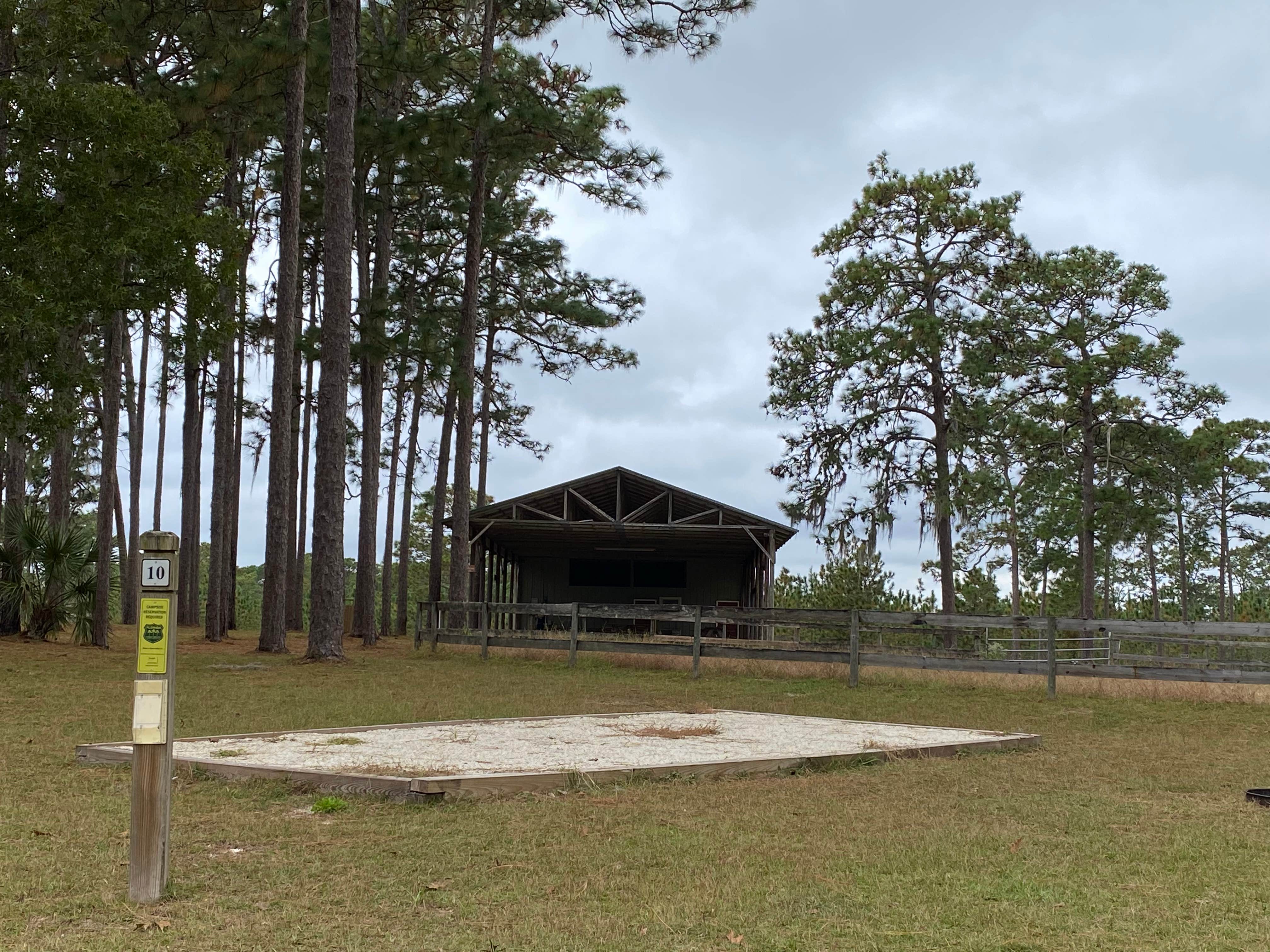 Camper-submitted photo at Welaka State Forest near Bunnell, FL