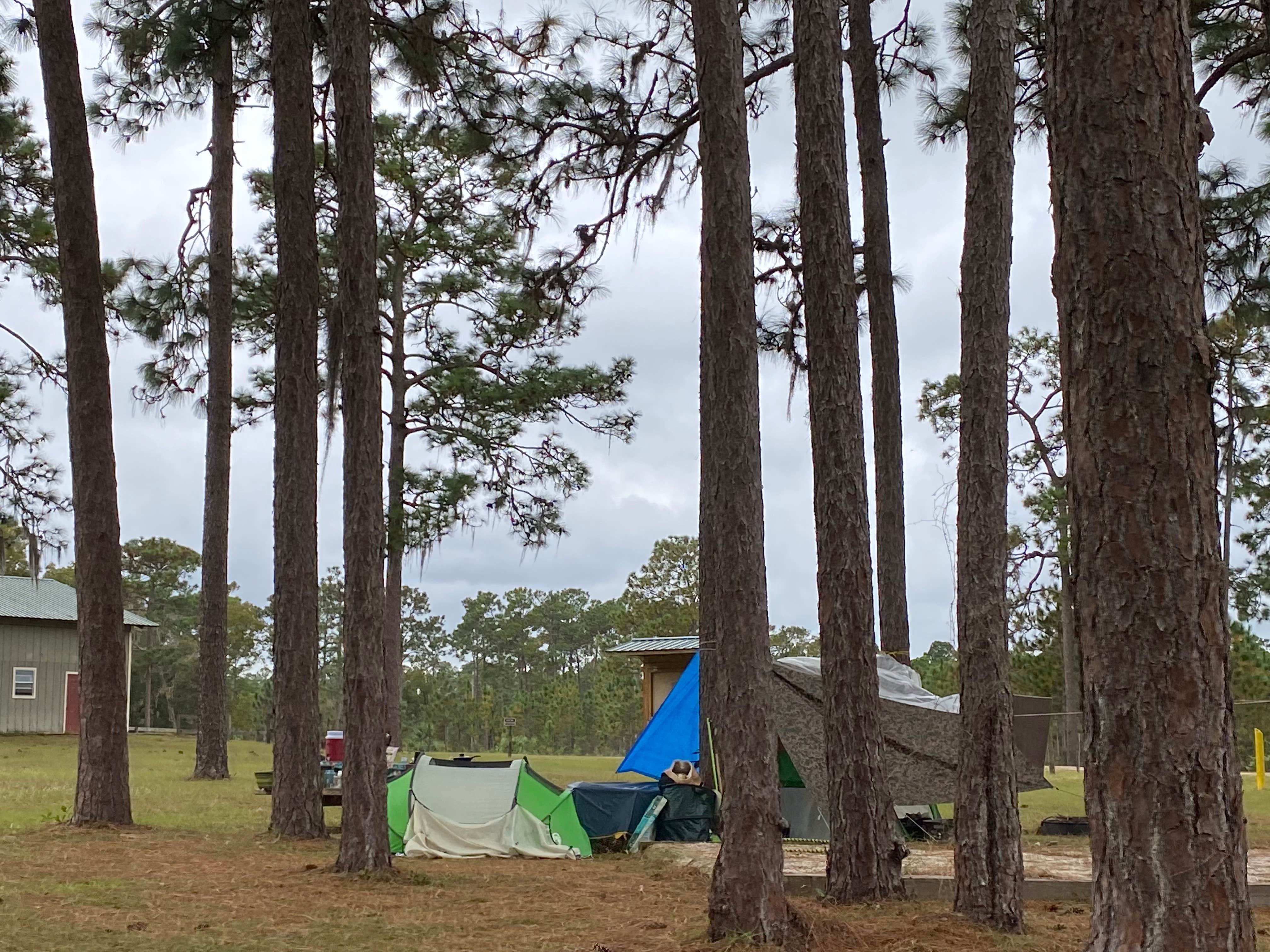 Camper-submitted photo at Welaka State Forest near Bunnell, FL