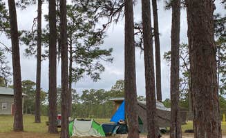 Stuart K.'s photo at Welaka State Forest near San Mateo, FL