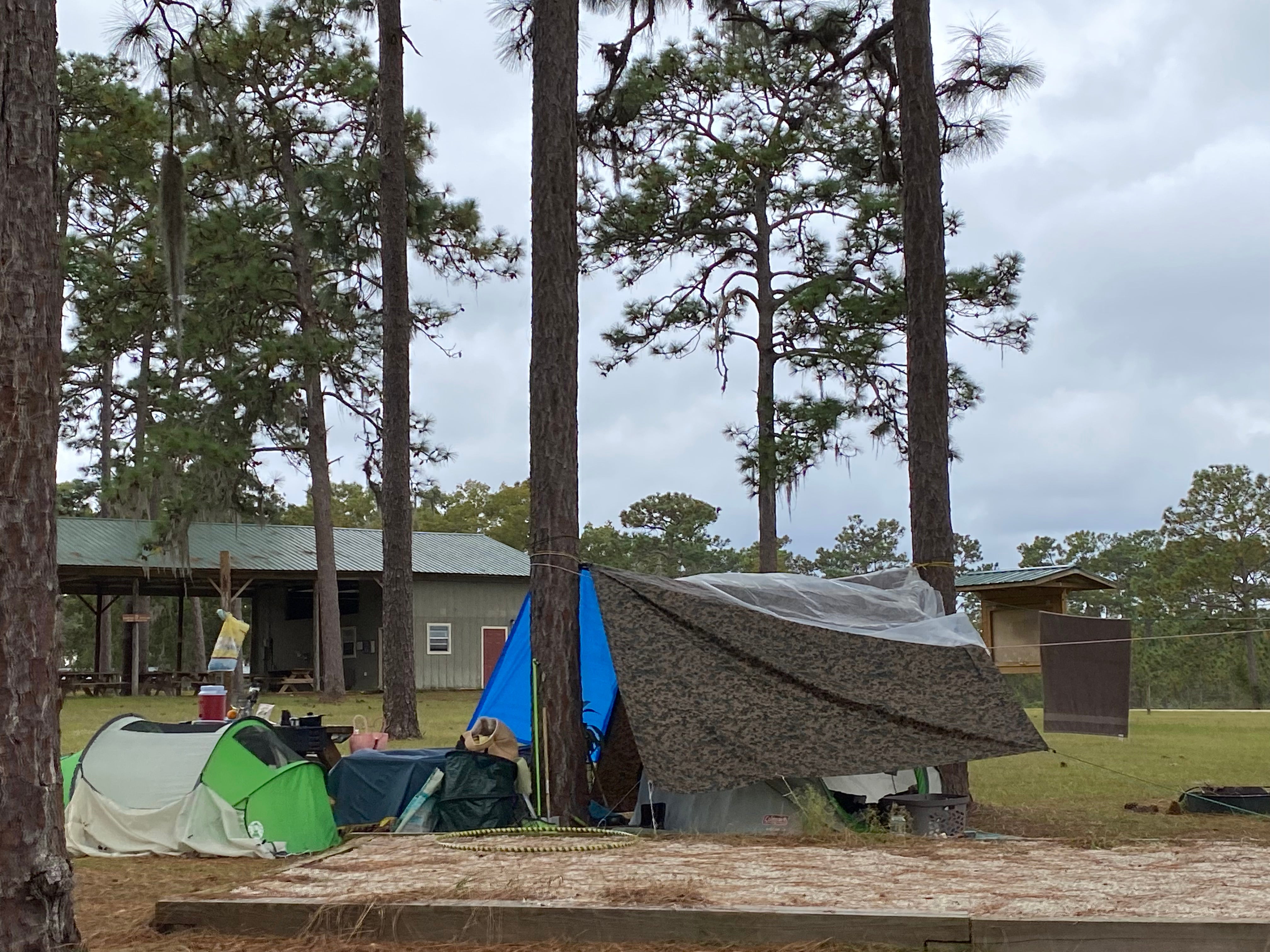 Camper submitted image from Welaka State Forest - 1