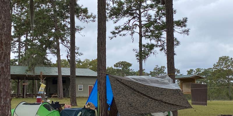 Camper submitted image from Welaka State Forest