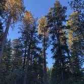 Review photo of Buckhorn Campground by Cody S., September 26, 2018