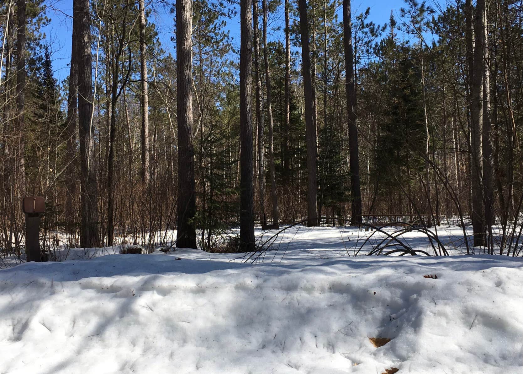 Chequamegon National Forest Day Lake Campground Camping The Dyrt
