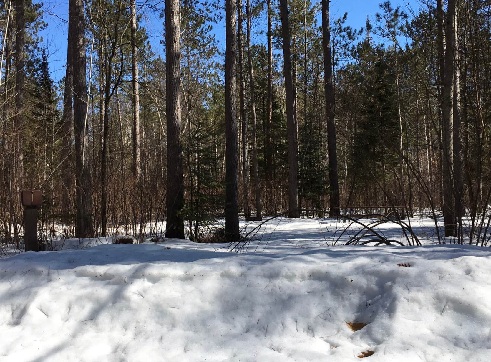 Camper submitted image from Chequamegon National Forest Day Lake Campground - 2