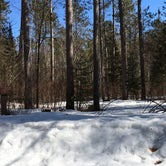 Review photo of Chequamegon National Forest Day Lake Campground by Lesley R., January 1, 2023
