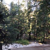 Review photo of Buckhorn Campground - Temporarily Closed by Cody S., September 26, 2018