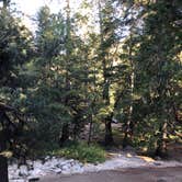 Review photo of Buckhorn Campground by Cody S., September 26, 2018