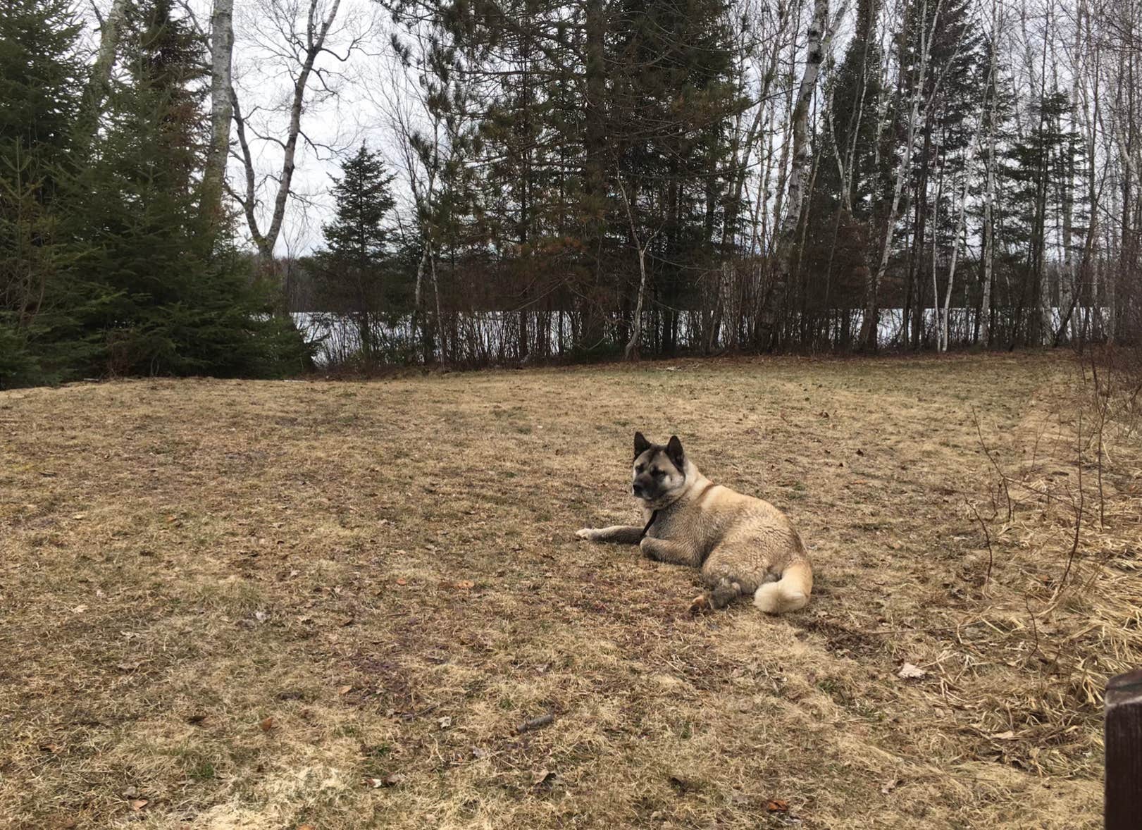 Camper-submitted photo at Chequamegon National Forest Day Lake Campground near Mellen, WI