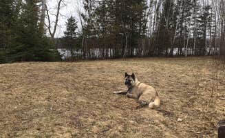 Lesley R.'s photo of camping with pets at Chequamegon National Forest Day Lake Campground near Upson, WI