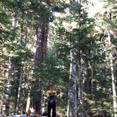 Review photo of Cougar Rock Campground — Mount Rainier National Park by Sonia S., September 26, 2018