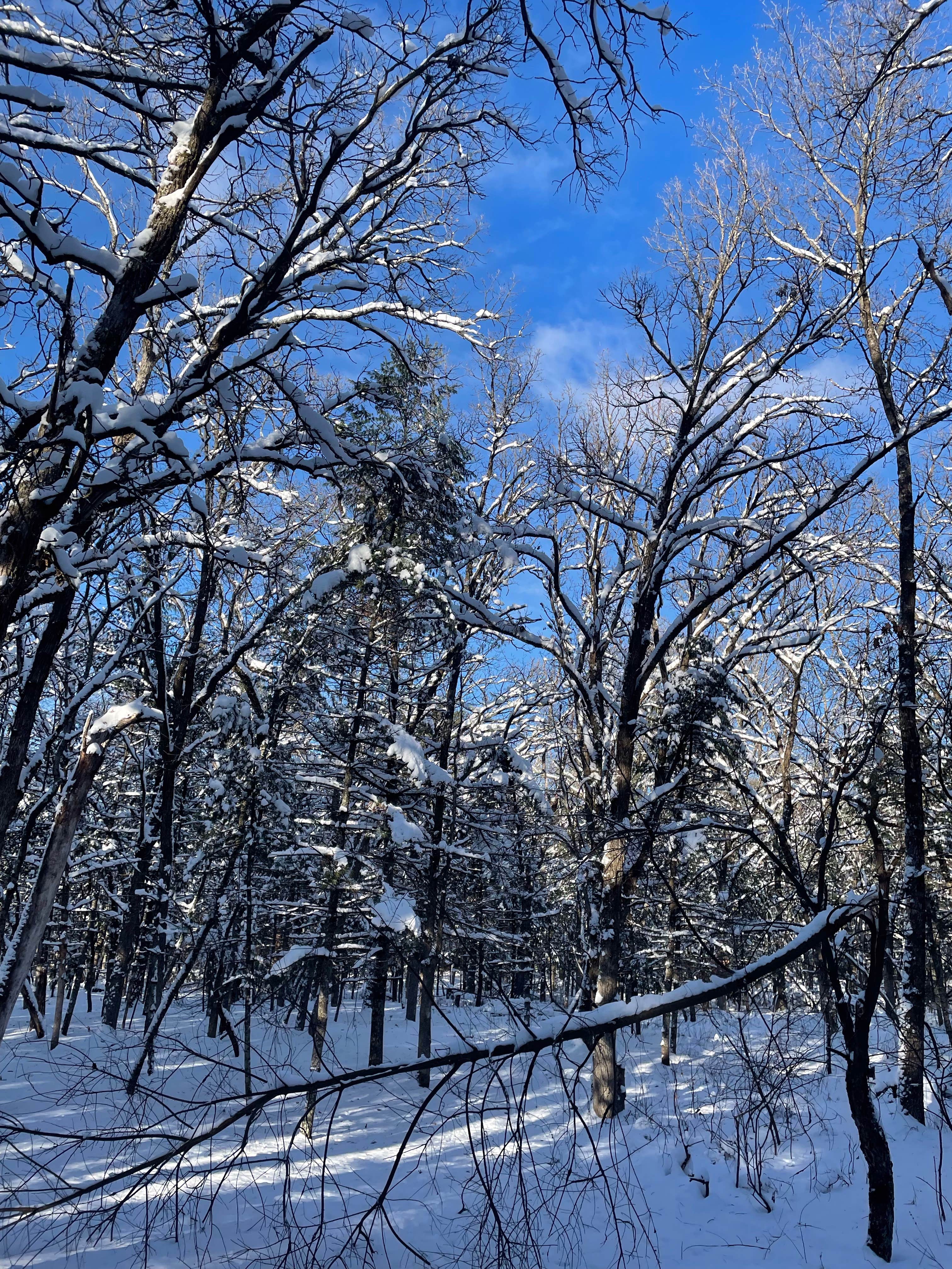 Camper submitted image from Hickory Ridge Group Camp — Governor Dodge State Park - 2