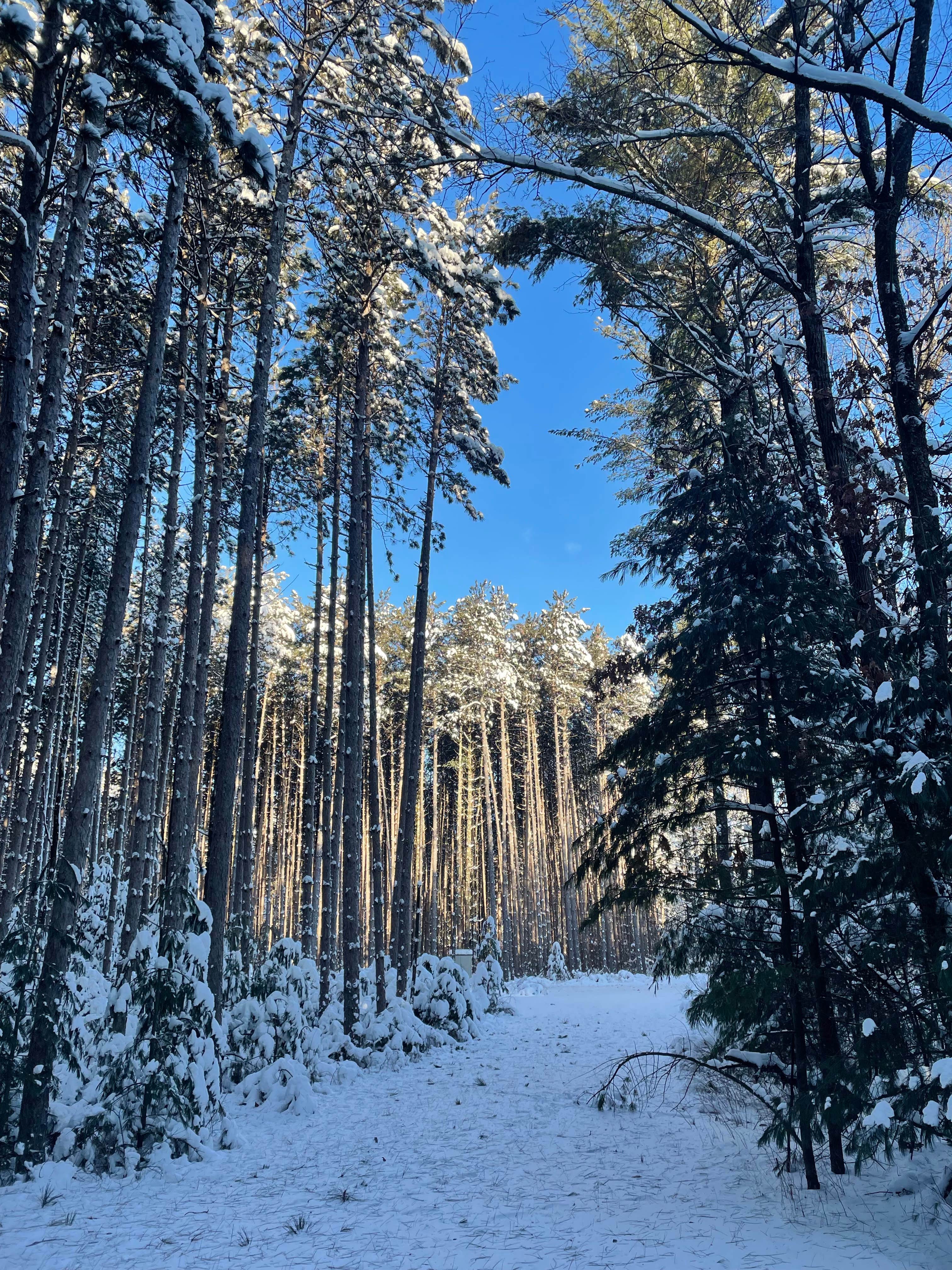 Camper-submitted photo at Hickory Ridge Group Camp — Governor Dodge State Park near Dodgeville, WI