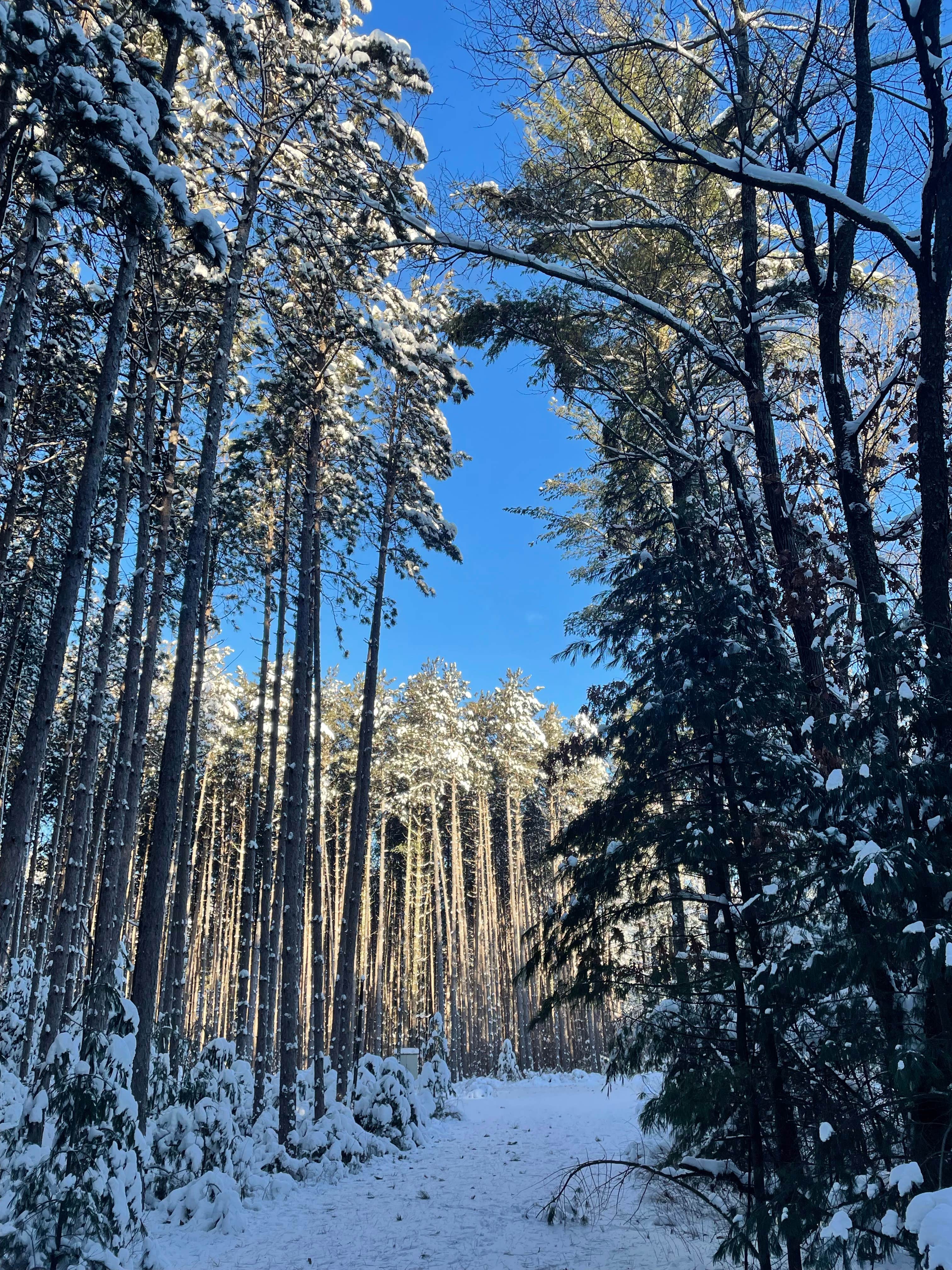 Camper-submitted photo at Hickory Ridge Group Camp — Governor Dodge State Park near Dodgeville, WI