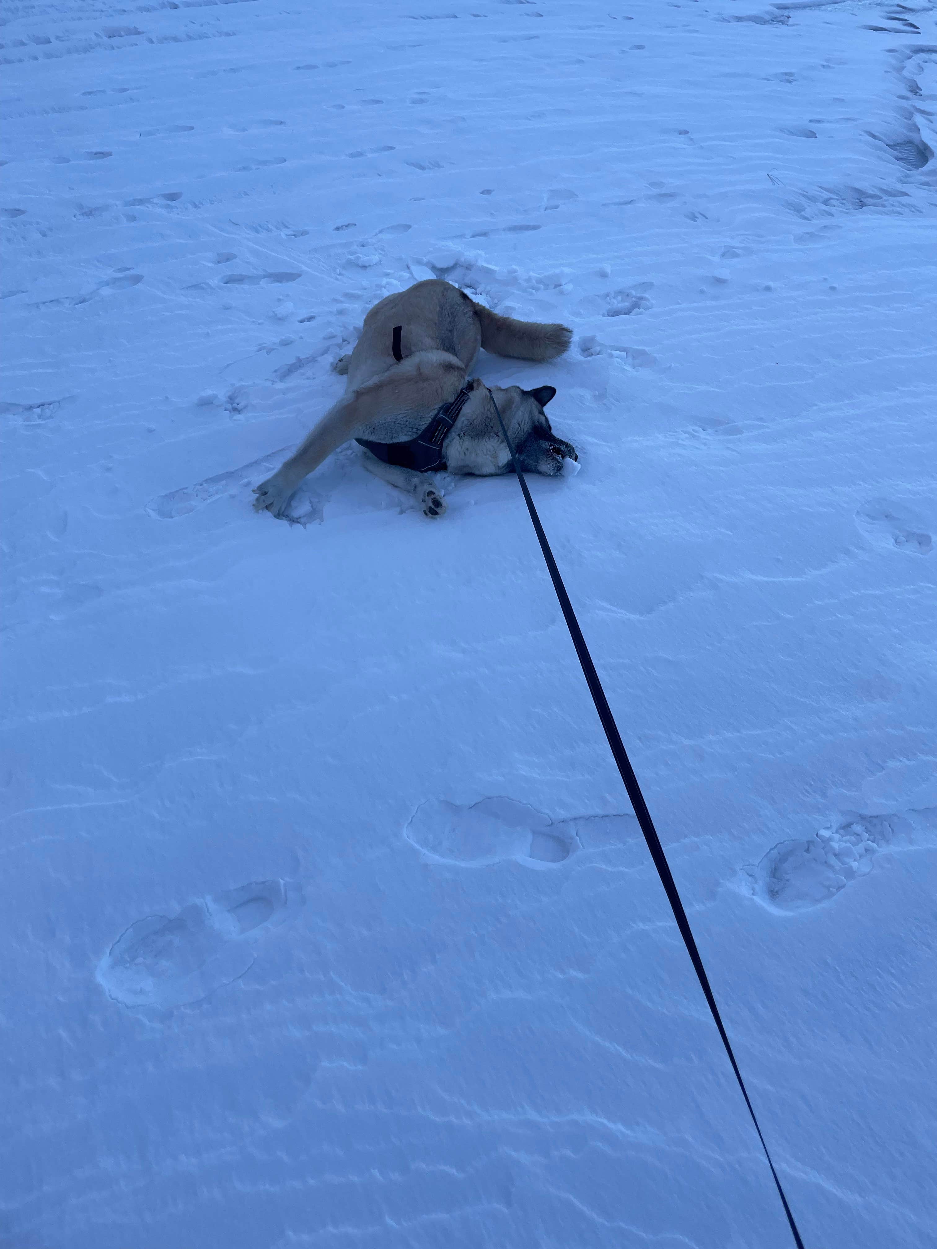 Camper-submitted photo at Hickory Ridge Group Camp — Governor Dodge State Park near Dodgeville, WI