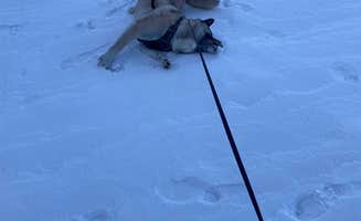 Lesley R.'s photo of camping with pets at Hickory Ridge Group Camp — Governor Dodge State Park near Mazomanie, WI
