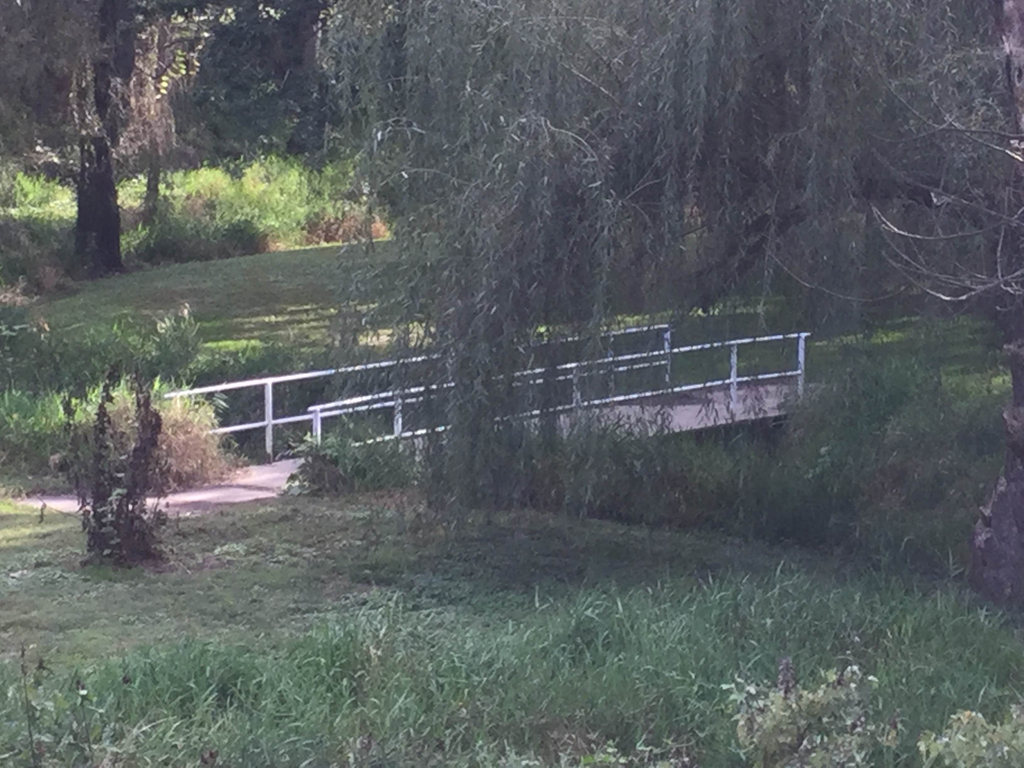 Camper-submitted photo at Buckley Park Campground near Brainard, NE