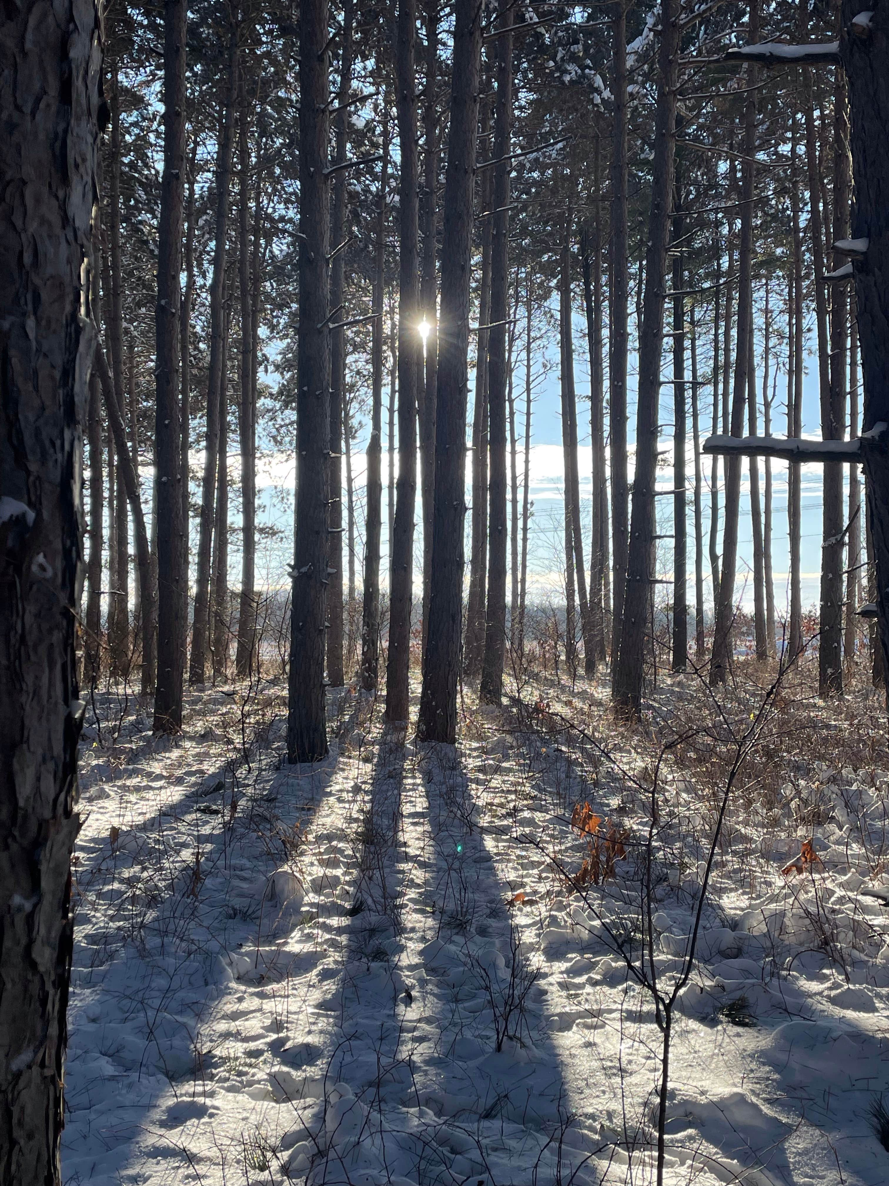 Camper-submitted photo at Hickory Ridge Group Camp — Governor Dodge State Park near Dodgeville, WI