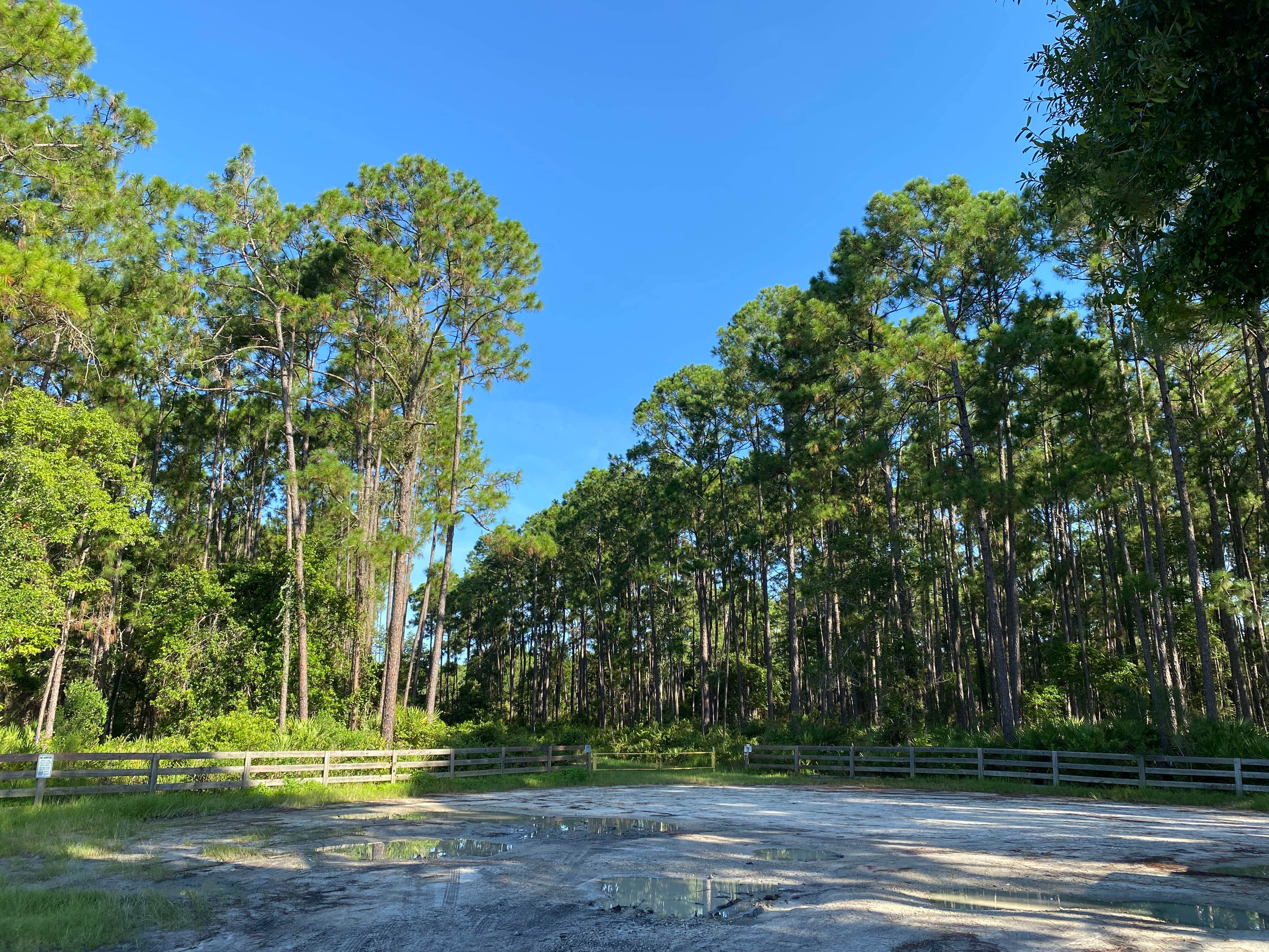 Camper-submitted photo at Smiling Gator RV Park near Green Cove Springs, FL