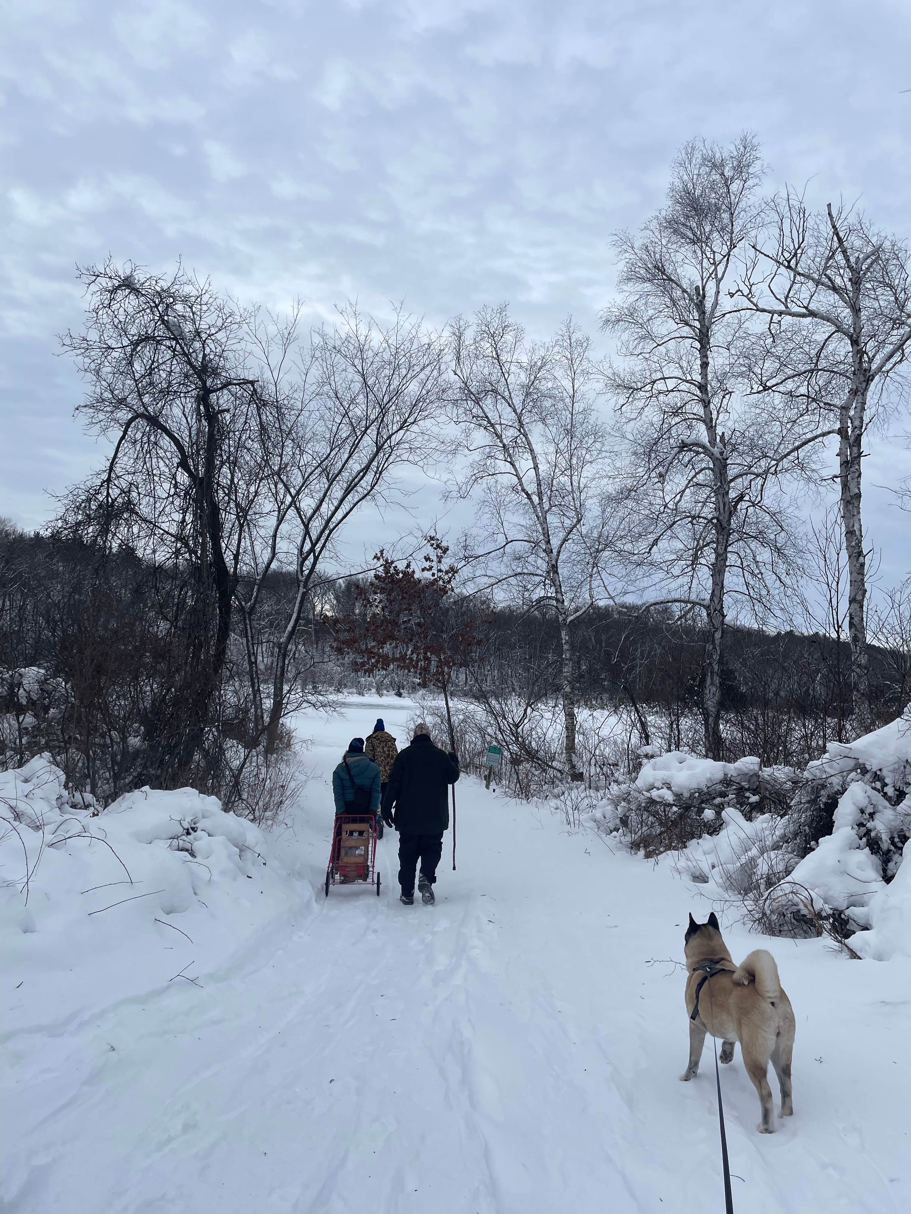 Lesley R.'s photo of camping with pets at Hickory Ridge Group Camp — Governor Dodge State Park near Mazomanie, WI
