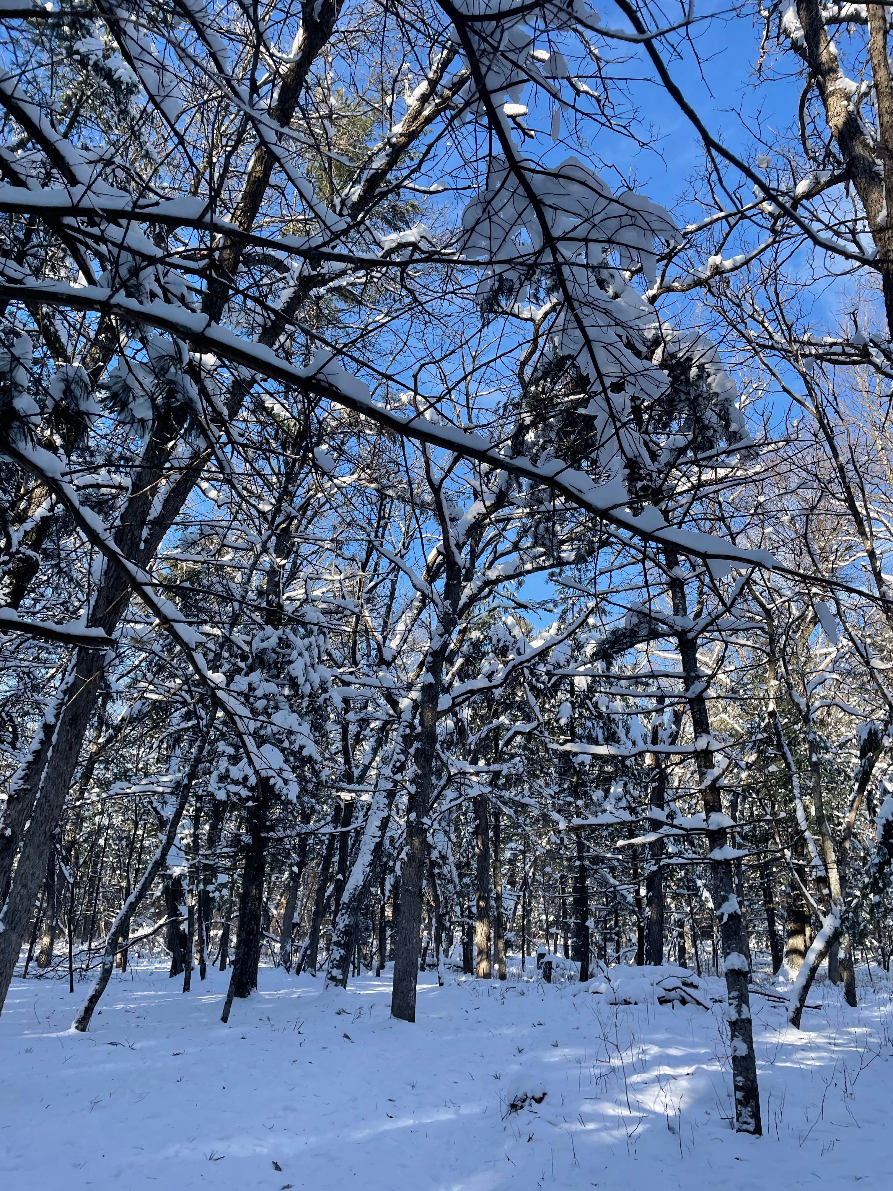 Camper submitted image from Hickory Ridge Group Camp — Governor Dodge State Park - 1