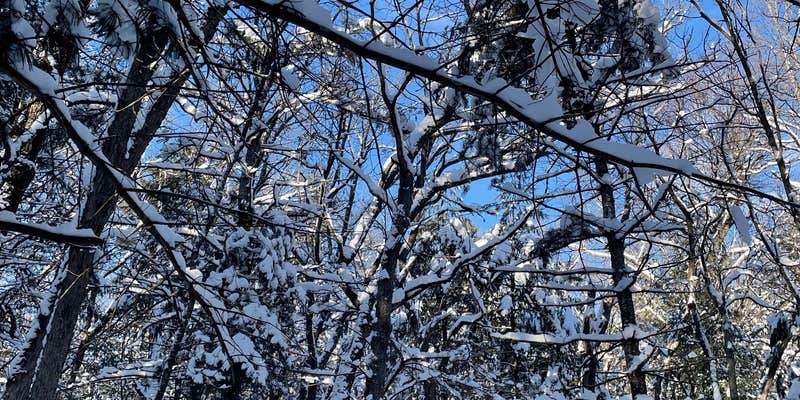 Camper submitted image from Hickory Ridge Group Camp — Governor Dodge State Park