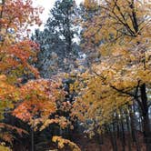 Review photo of Pike Lake Campground — Kettle Moraine State Forest-Pike Lake Unit by Lesley R., January 1, 2023