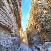 Review photo of Pine Springs Campground — Guadalupe Mountains National Park by Tori K., January 1, 2023