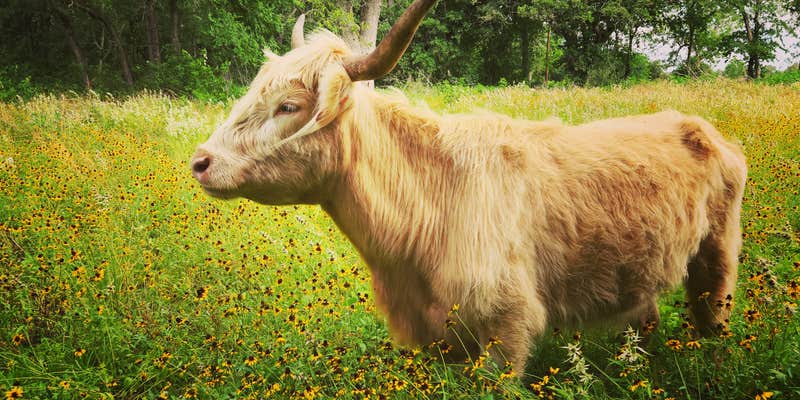 Camper submitted image from Sandy Grove Ranch