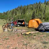 Review photo of Hermosa Creek Trailhead - Dispersed Camping by Chris A., January 1, 2023