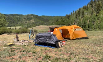 Hermosa Creek Trailhead - Dispersed Camping