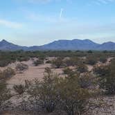 Review photo of BLM Sonoran Desert National Monument - Vekol Road Dispersed Camping Area by Wayne H., January 1, 2023