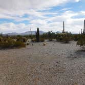 Review photo of BLM Sonoran Desert National Monument - Vekol Road Dispersed Camping Area by Wayne H., January 1, 2023