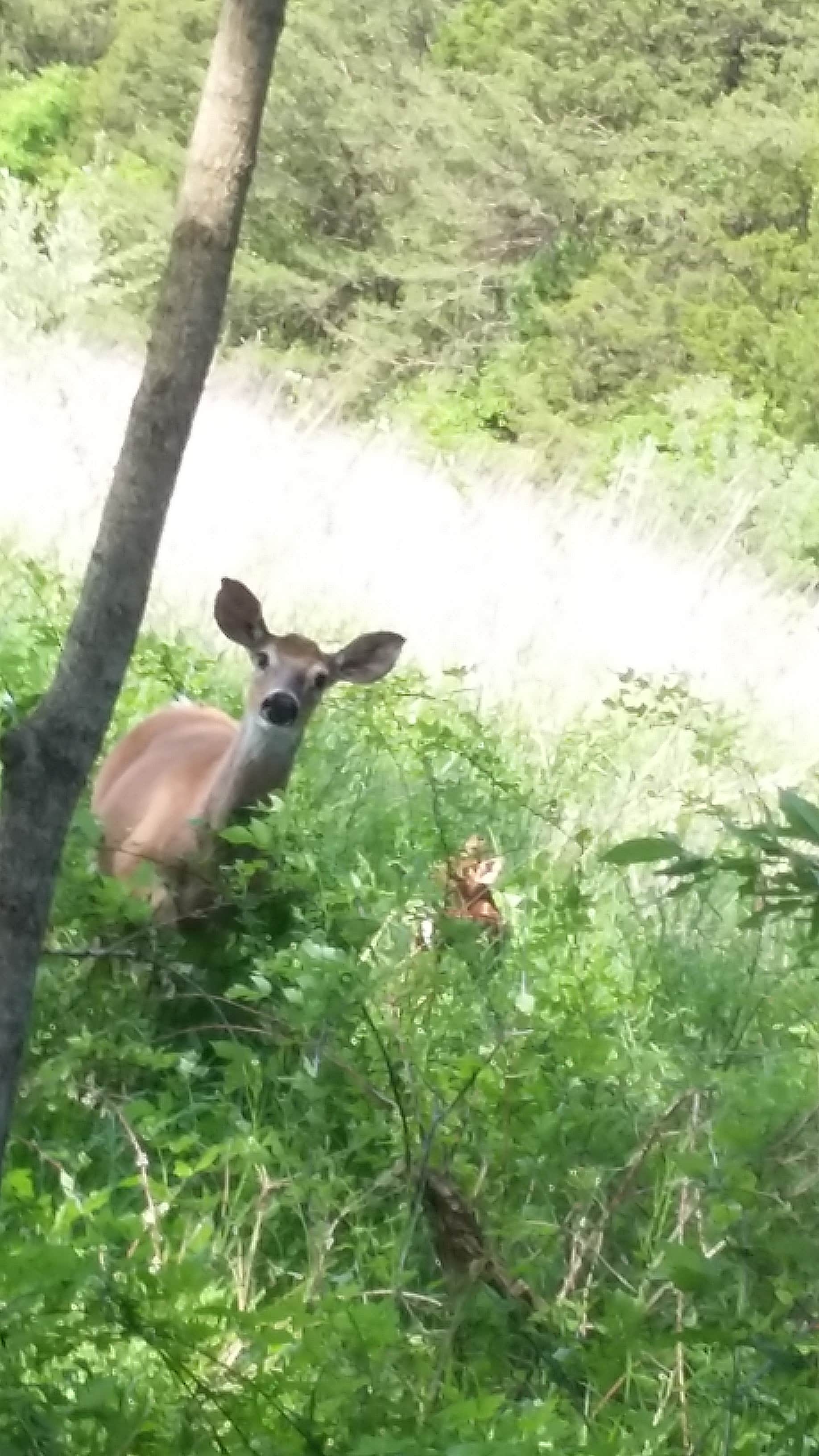 A World Away Farm LLC