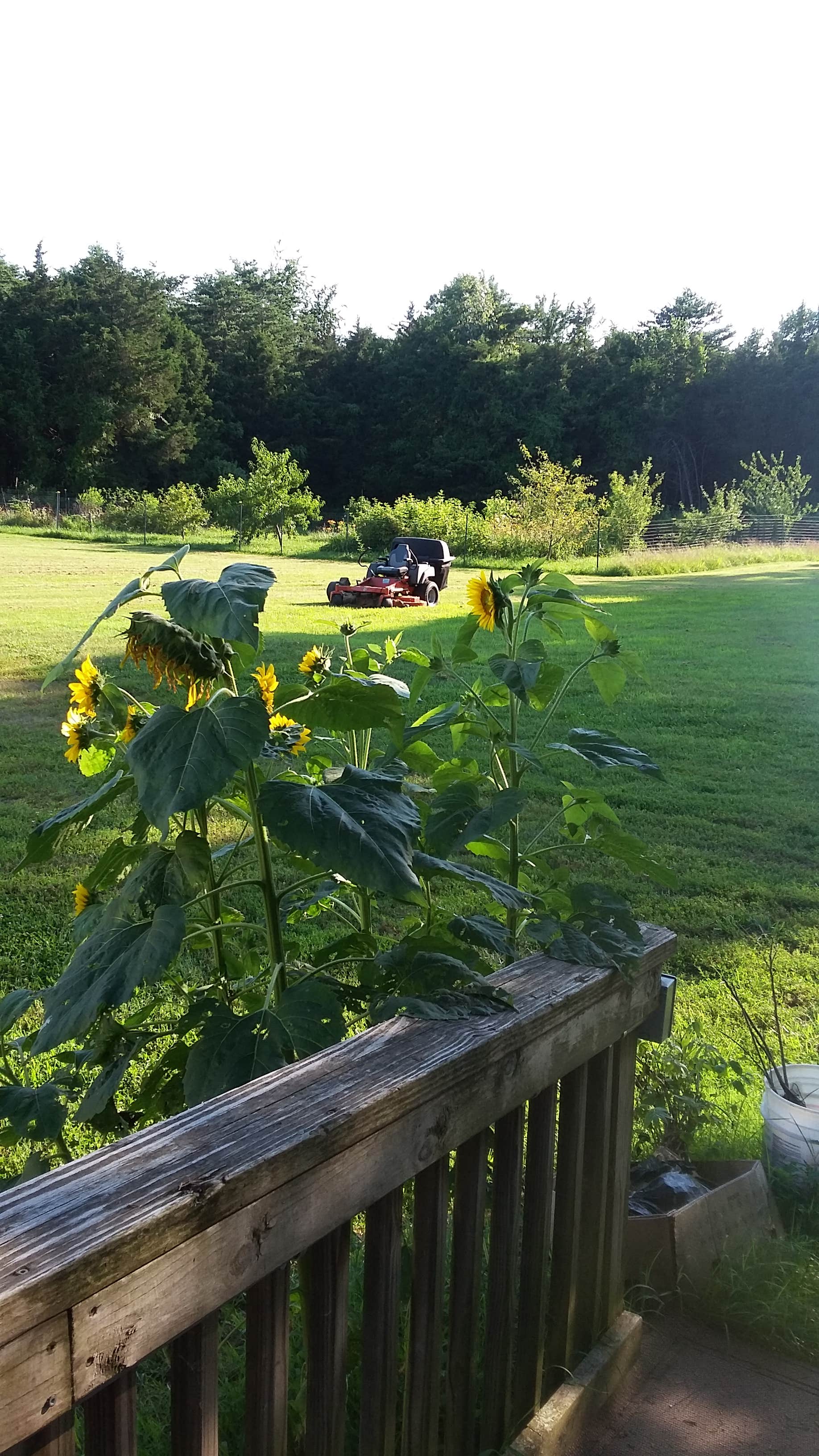 Camper-submitted photo at A World Away Farm LLC near Stevensburg, VA