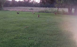 Katherine I.'s photo of camping with pets at A World Away Farm LLC near Ruther Glen, VA