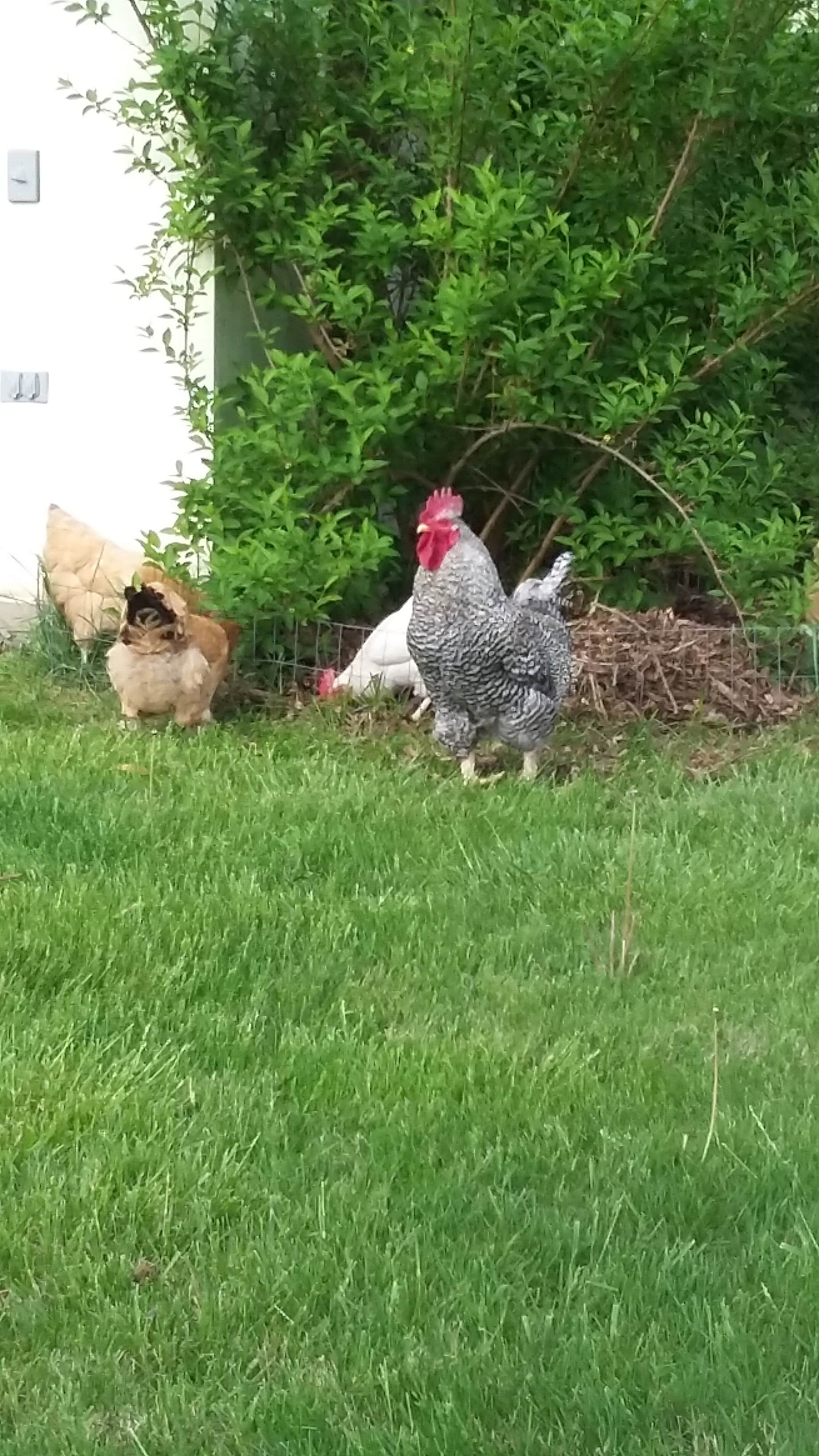 Camper-submitted photo at A World Away Farm LLC near Stevensburg, VA