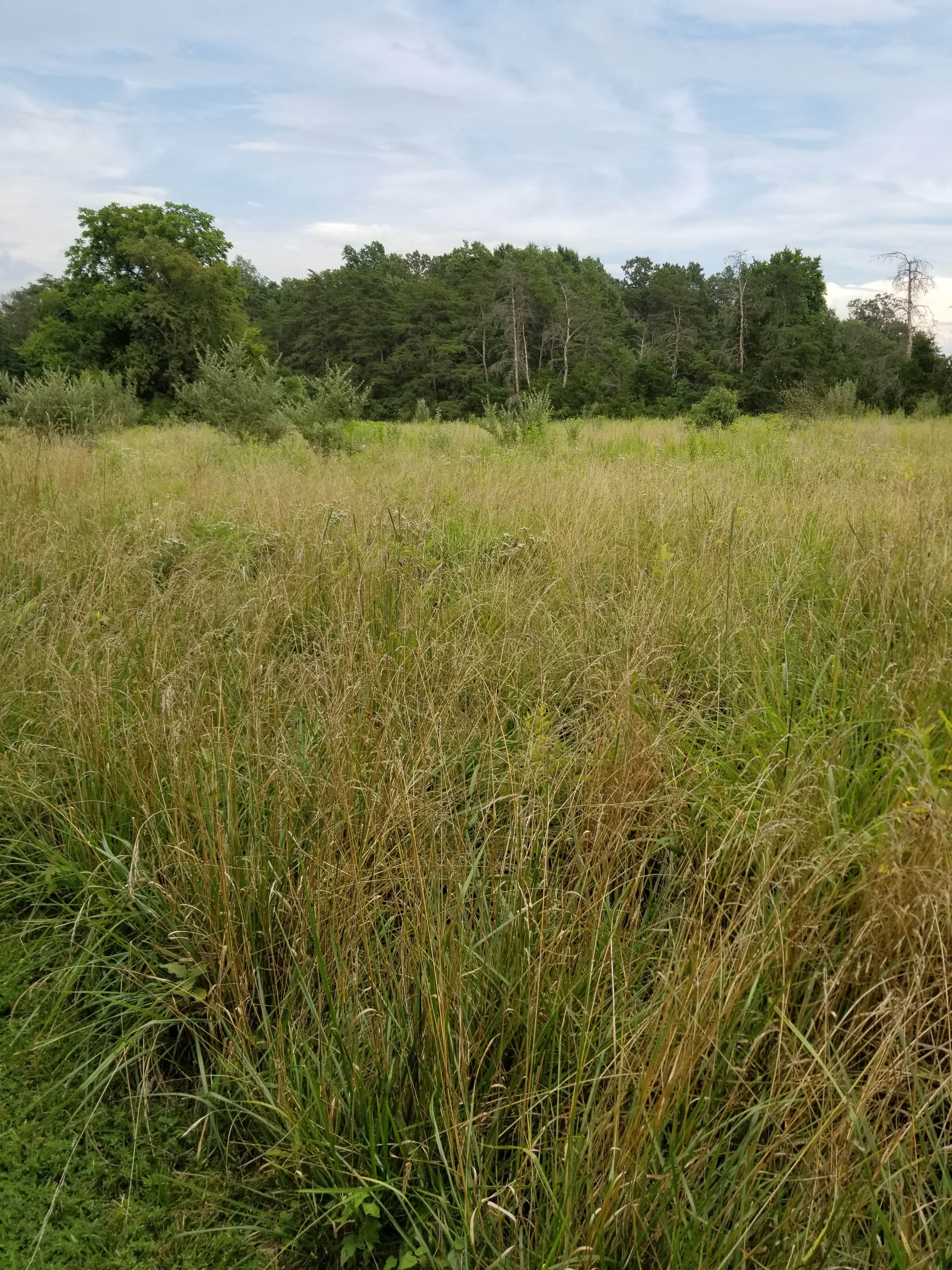 Camper-submitted photo at A World Away Farm LLC near Stevensburg, VA