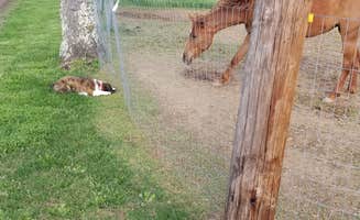 Katherine I.'s photo of camping with pets at A World Away Farm LLC near Milford, VA