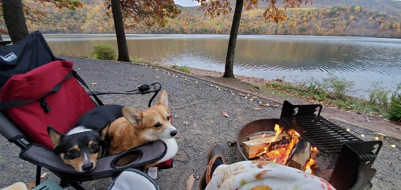 Sheleen S.'s photo of camping with pets at Seven Points (PA) near Pennsylvania Furnace, PA