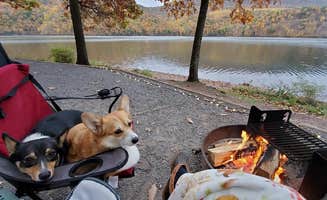 Sheleen S.'s photo of camping with pets at Seven Points (PA) near Pennsylvania Furnace, PA