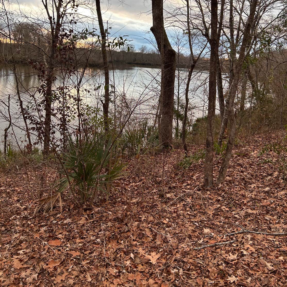 Forkland Campground Forkland, AL