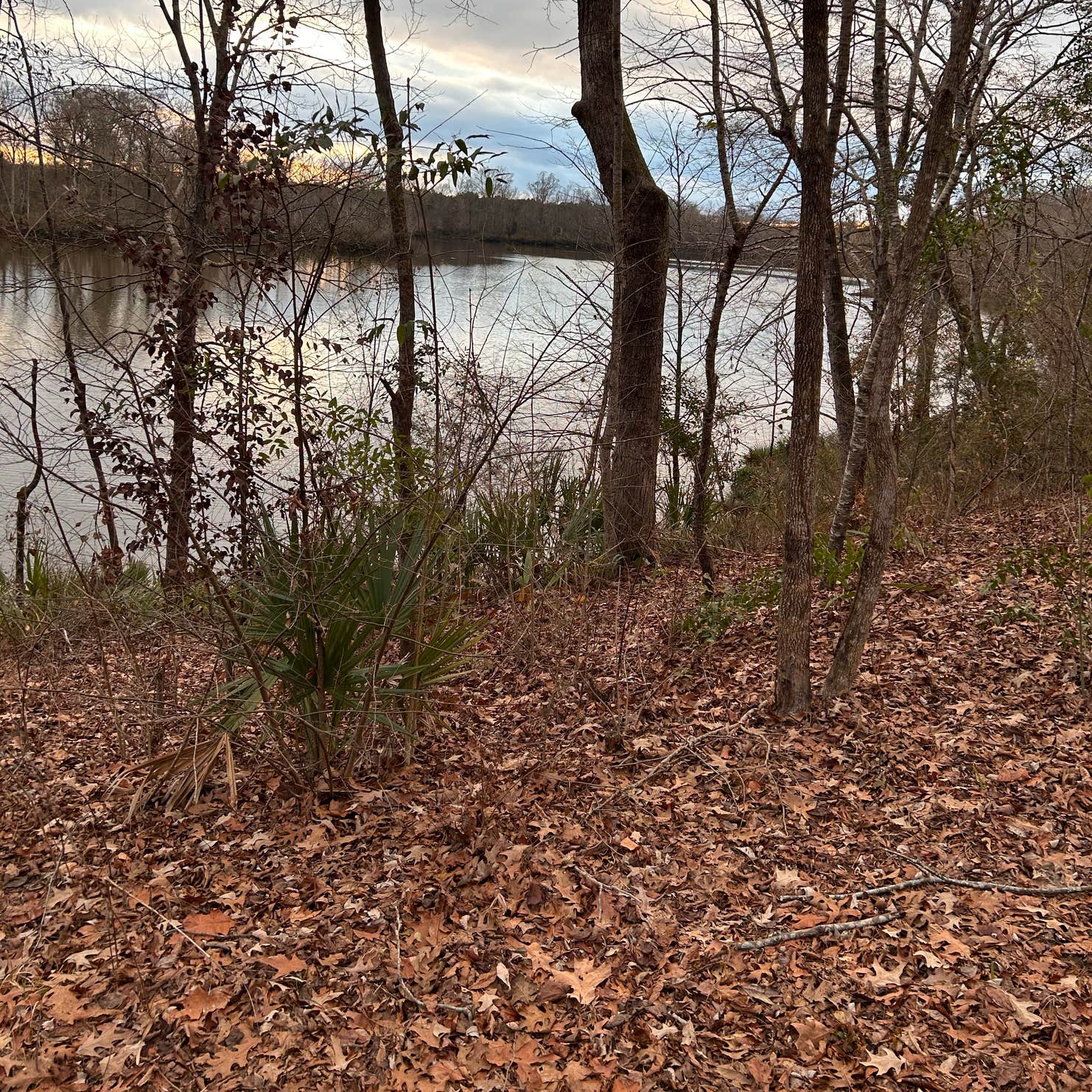 Forkland Campground Forkland, AL