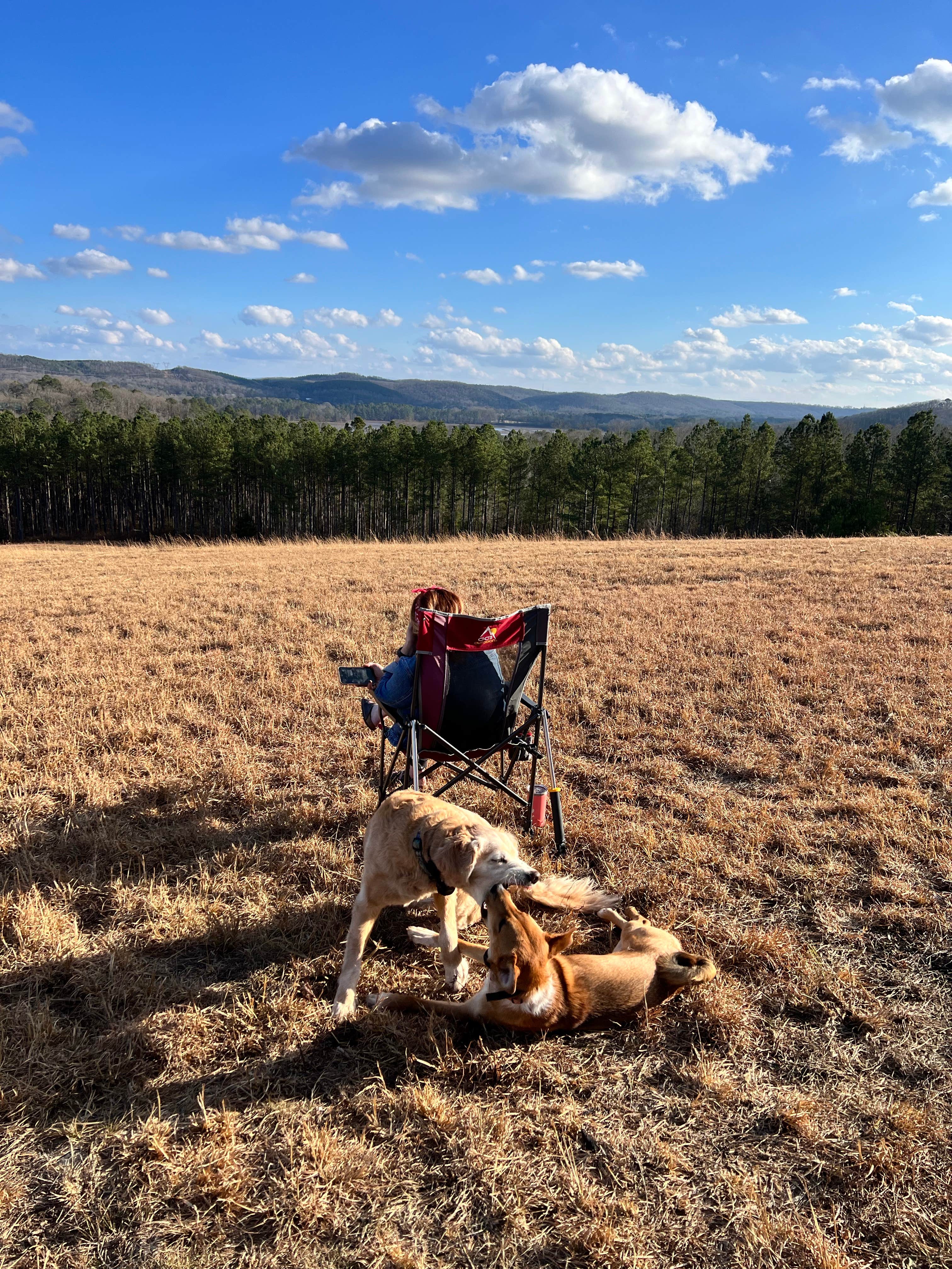 Ralf B.'s photo of camping with pets at Eads Bluff Farm near Harrison, TN