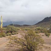 Review photo of Darby Wells Rd BLM Dispersed by Greg L., January 2, 2022