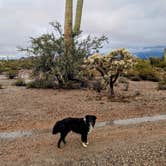 Review photo of Darby Wells Rd BLM Dispersed by Greg L., January 2, 2022