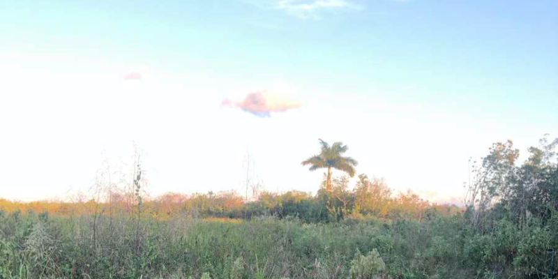 Camper submitted image from Gods Country in Miami