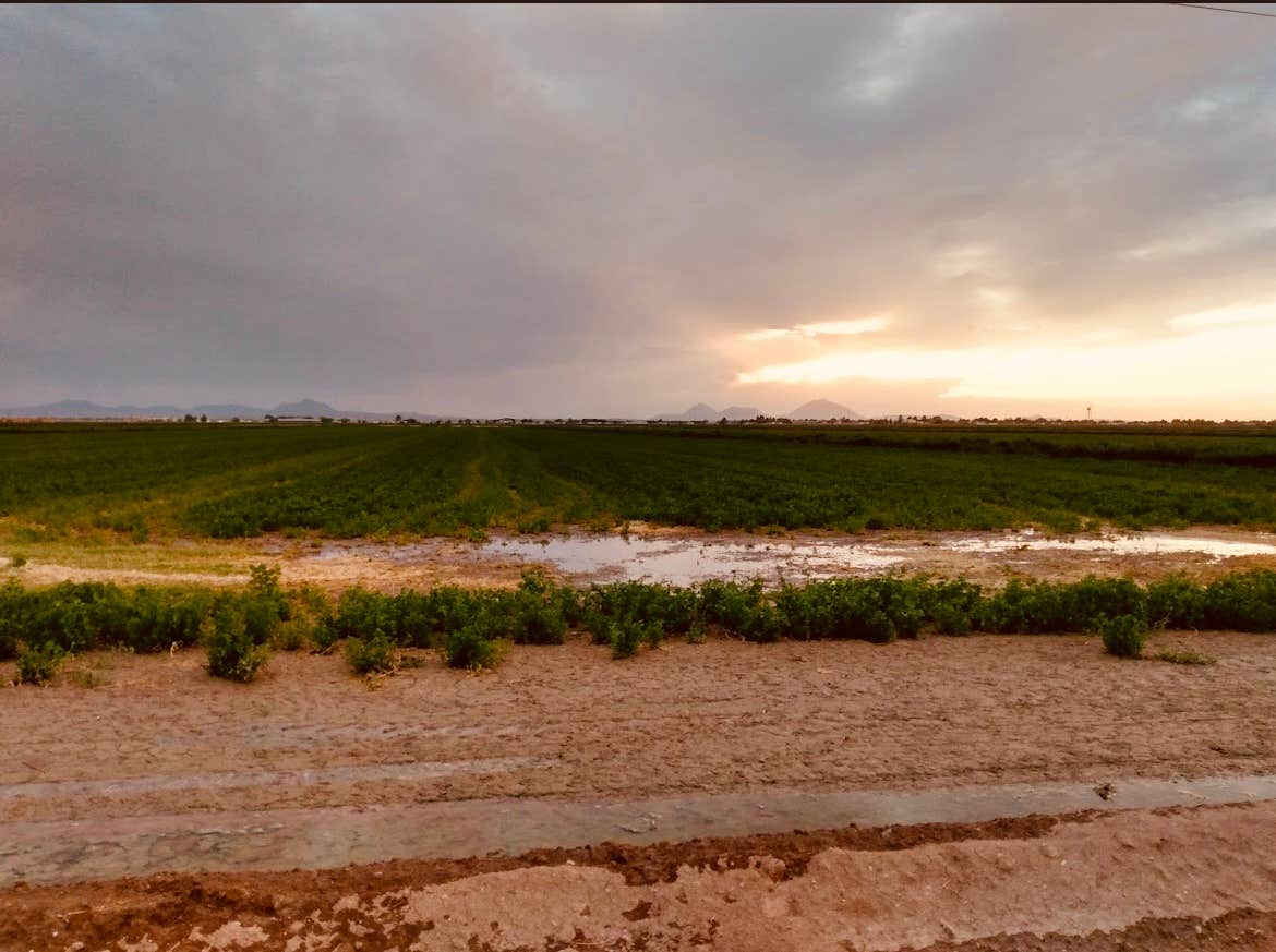 Camper-submitted photo at The Radcliffe Family Homestead near Dell City, TX