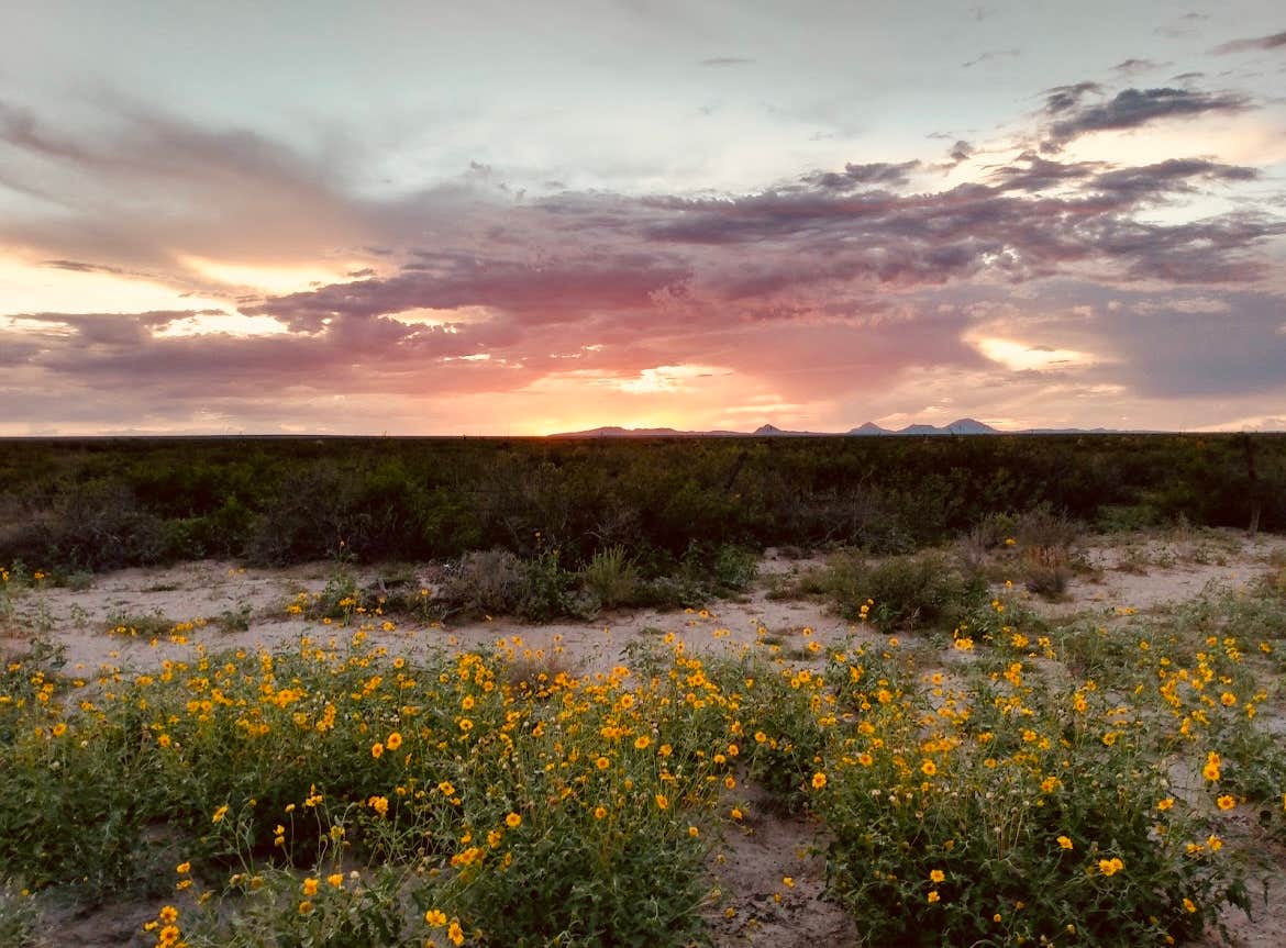 Camping near Forrest Hollow Ranch - Desert Campsites: The Radcliffe Family Homestead, Dell City, Texas