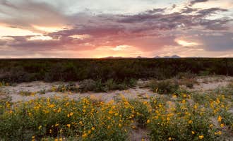 Camping near Pine Springs Campground — Guadalupe Mountains National Park: The Radcliffe Family Homestead , Dell City, Texas
